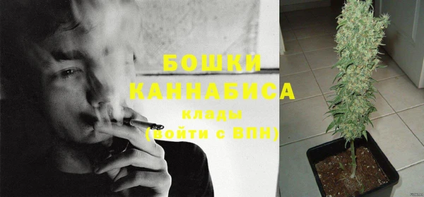 стаф Майский
