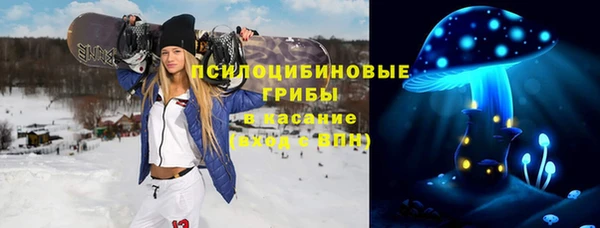 прущая мука Магас
