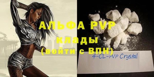 стаф Майский