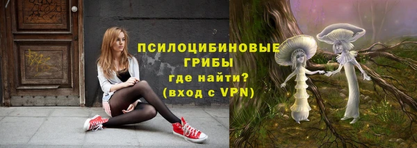 прущая мука Магас