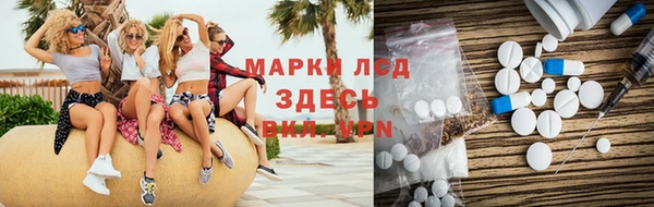 стаф Майский