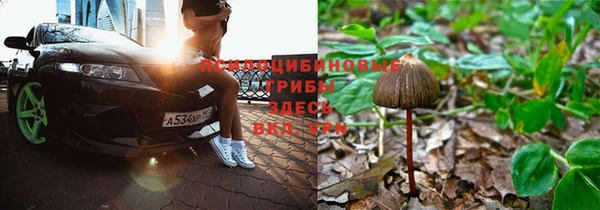 мяу мяу кристалл Магадан