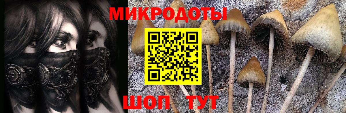 Галлюциногенные грибы MAGIC MUSHROOMS  Вход с VPN  Черногорск 